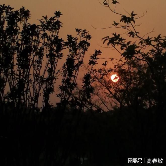 乐鱼体育：网络营销的三大策略(图2)