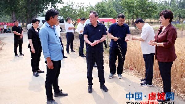 乐鱼体育：虞城县委书记何玉东调研“三夏”生产、秸秆禁烧及水利防汛、利张路建设工作