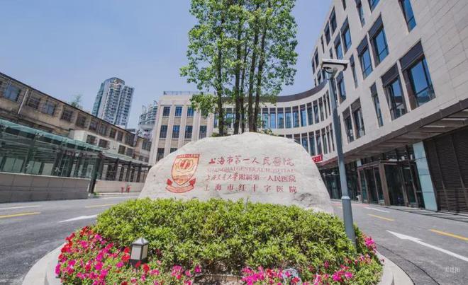 乐鱼体育：上海新湖外滩元网站-新湖外滩元营销中心-电话(图9)
