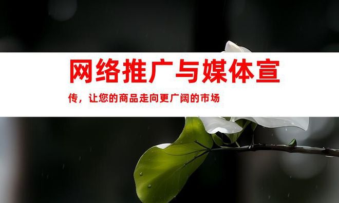 Leyu体育：【助力商家热销】活动宣传营销通稿软文发布网络推广媒体宣传！(图2)
