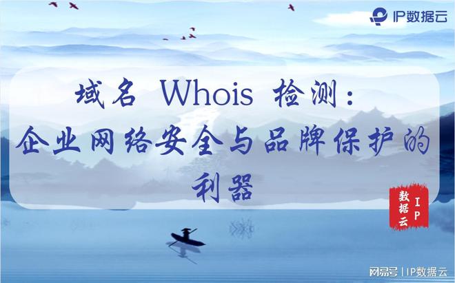 乐鱼体育：域名Whois检测：企业网络安全与品牌保护的利器