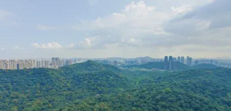 乐鱼体育：星河湾萝峰网站-电话-广州黄埔星河湾萝峰欢迎你(图2)