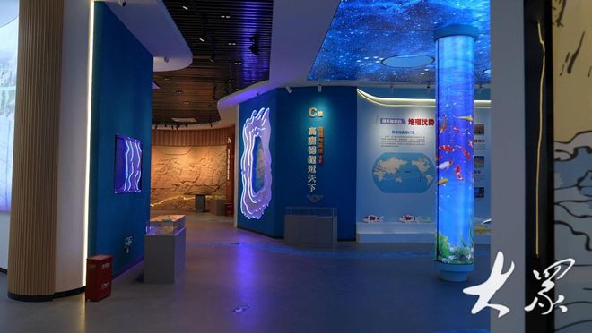 Leyu体育：高唐锦鲤万里挑一销售火爆“游”向全国各地(图3)