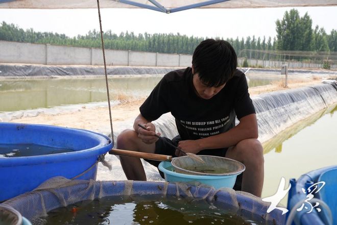 Leyu体育：高唐锦鲤万里挑一销售火爆“游”向全国各地