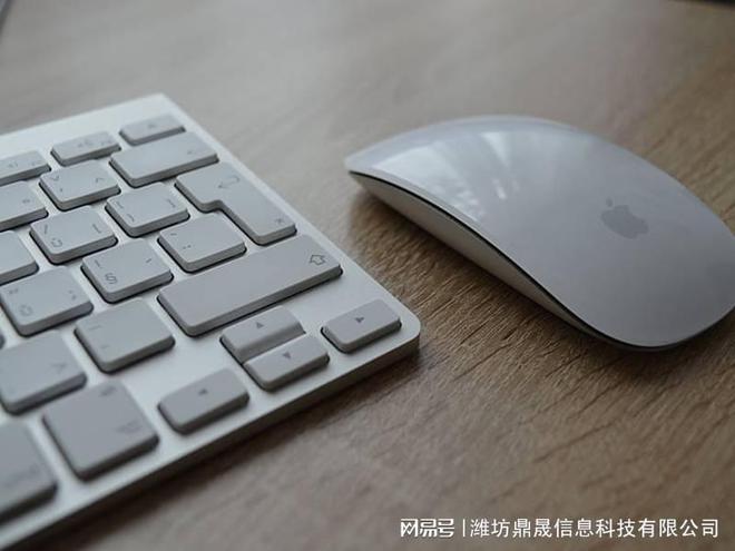 乐鱼体育：网站建设有什么用处