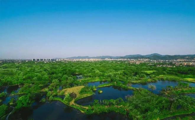 乐鱼体育：岳阳市政府网站建设工作会议召开(图5)
