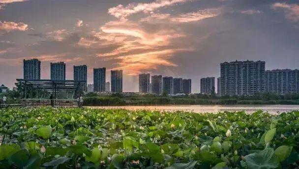 乐鱼体育：虹桥嘉悦府售楼处丨【虹桥嘉悦府】网站丨楼盘详情(图7)
