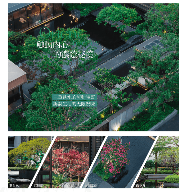 Leyu体育：保利海上瑧悦(保利海上瑧悦)首页网站丨-2024年最新价格户型配套(图13)