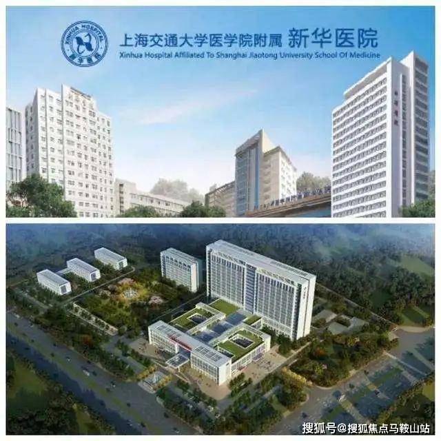 乐鱼体育：缦云上海售楼处电话→售楼中心首页网站→楼盘百科百科→24小时热(图26)