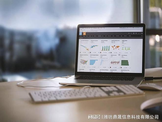 乐鱼体育：潍坊企业网站如何建设和运营