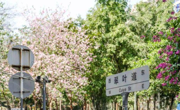 乐鱼体育：景祥大厦售楼处电话楼盘地址详情营销中心24小时电话！(图9)