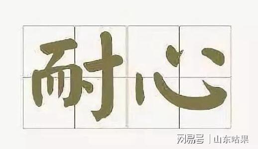 Leyu体育：网站建设注意事项(图2)