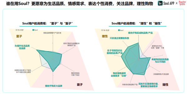Leyu体育：2024年中国青年营销策略研究报告：品牌年轻化从社交开始(图4)