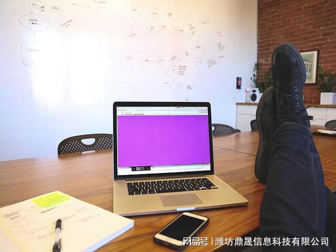 乐鱼体育：科技公司网站建设详细方案(图1)