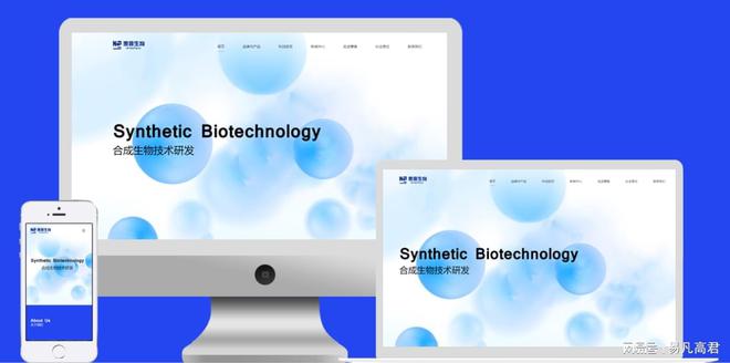 Leyu体育：网站制作领域各具特色的公司为企业提升品牌影响力(图2)