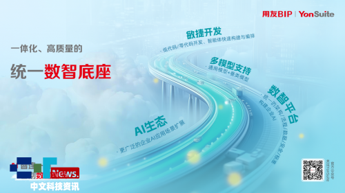 乐鱼体育：2025YonSuite产品线最全指南数智化不走弯路！(图4)