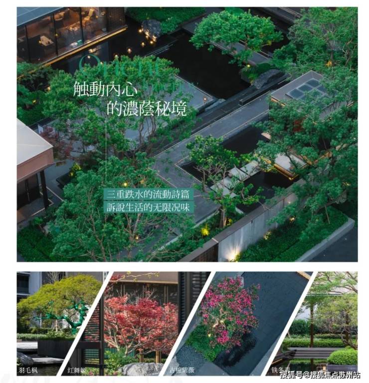 Leyu体育：保利海上瑧悦(售楼处)首页网站-保利海上瑧悦销售中心(营销中心)-楼盘欢迎您-小区环境-户型-价格-地址-楼盘详情-周边配套-售楼处电话(图15)