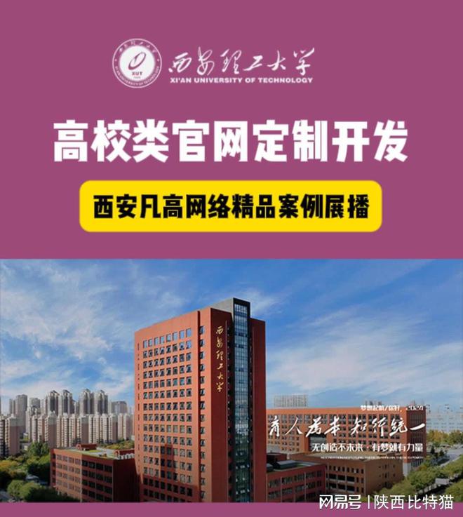 乐鱼体育：高端网站定制开发：开启企业数字门户极致体验(图3)