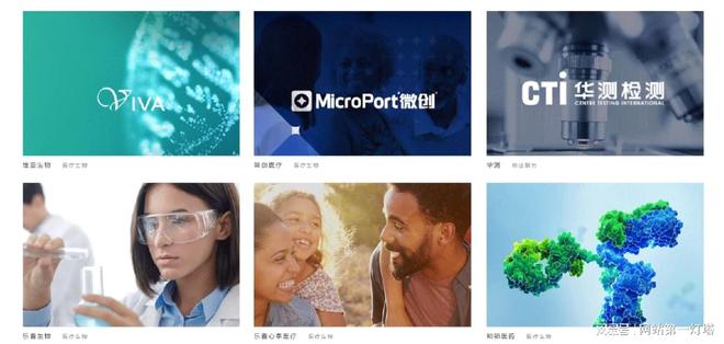 乐鱼体育：网站建设难题多如何精准选对公司开启成功之旅(图3)