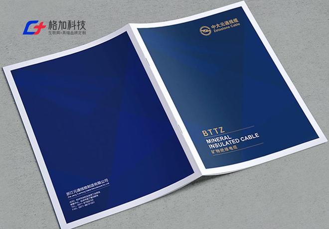 乐鱼体育：选网站设计公司必看！2025十大高性价比网站建设服务商推荐(图2)