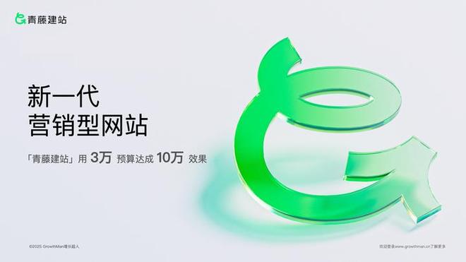 乐鱼体育：2025年口碑爆棚！网站建设公司怎么选？品牌网站设计制作服务深度解析指南(图2)
