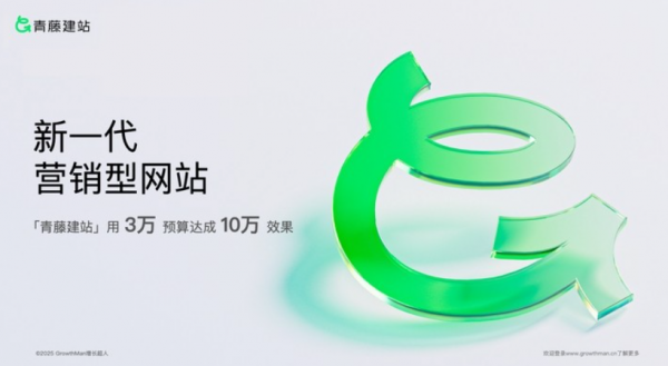 乐鱼体育：2025年度十佳网站设计公司精选：高端定制建站服务+真实制作案例深度测评指南(图2)