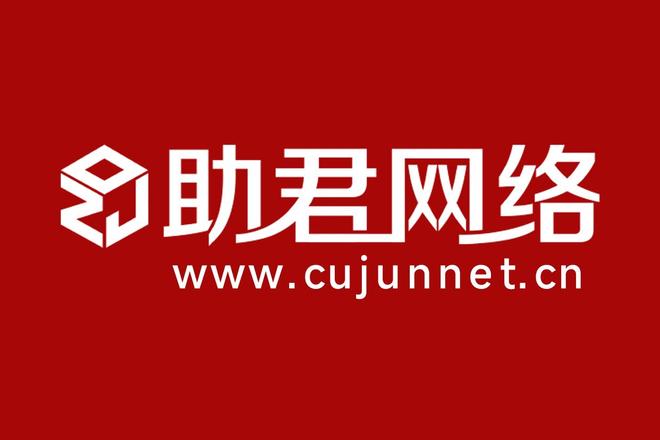Leyu体育：2025年国内专业的网站建设公司有哪些？揭晓一份值得信赖的优秀网站制作公司品牌排行(图4)