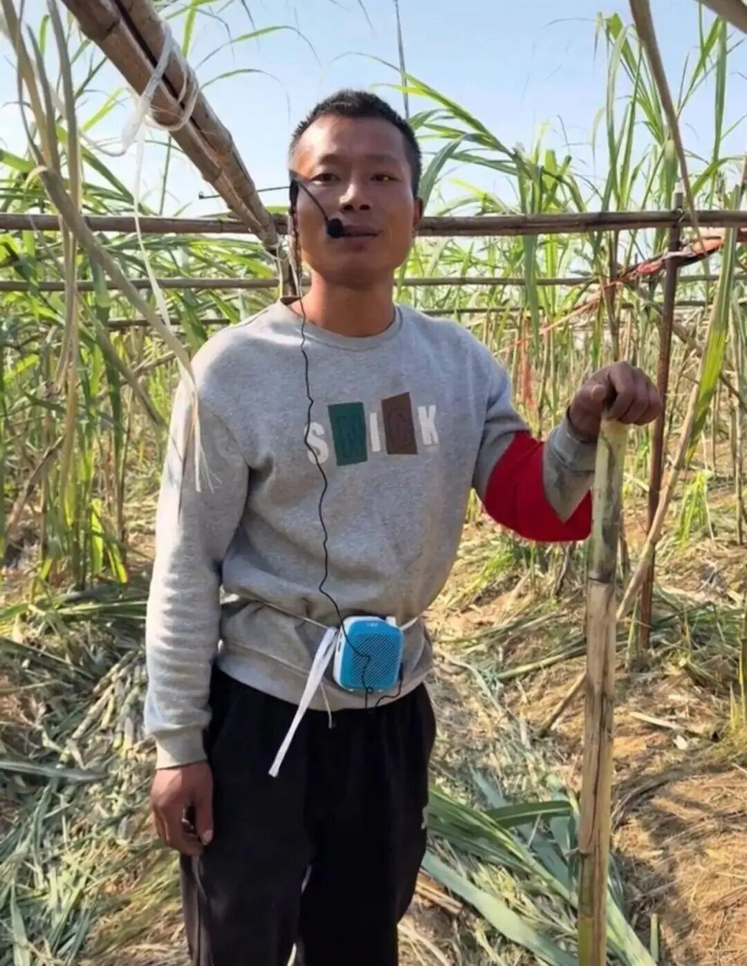 乐鱼体育：四川眉山“偷甘蔗农场”爆火！增设299元入场费后地里仍来了上千游客“偷甘蔗”被逮到的人要表演才艺老板：日销售有时近万元