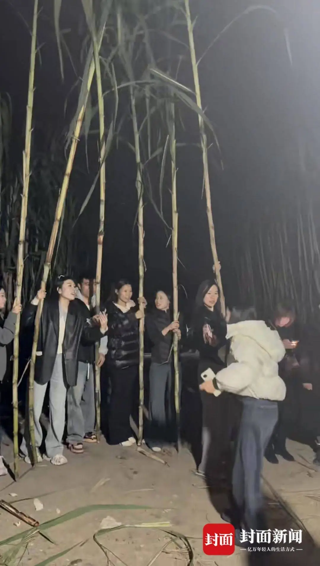 乐鱼体育：四川眉山“偷甘蔗农场”爆火！增设299元入场费后地里仍来了上千游客“偷甘蔗”被逮到的人要表演才艺老板：日销售有时近万元(图3)