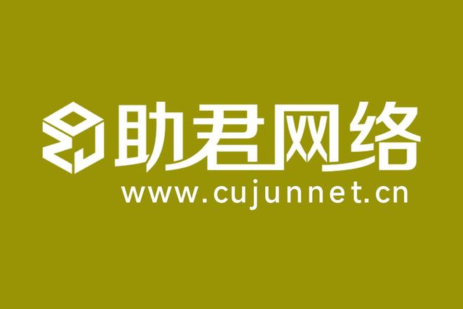 Leyu体育：2025年高端定制网站建设找哪家？十大注重创意与品质的网站制作设计服务商盘点推荐(图4)