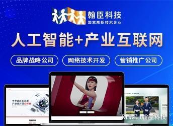 乐鱼体育：网站建设与小程序开发优选杭州翰臣科技专业团队服务品质有保(图2)