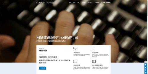 乐鱼体育：上海地区网站建设公司哪家好？2025优秀网站建设公司全类型年末盘点(图4)