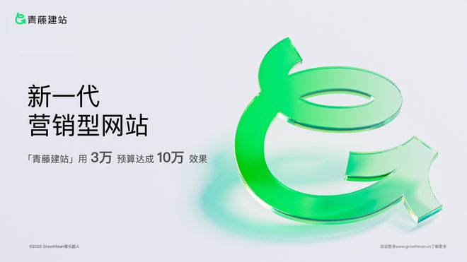 Leyu体育：2025年网站建设服务商严选指南：10家头部企业+三大核心阵营全景拆解分析选型指南(图2)