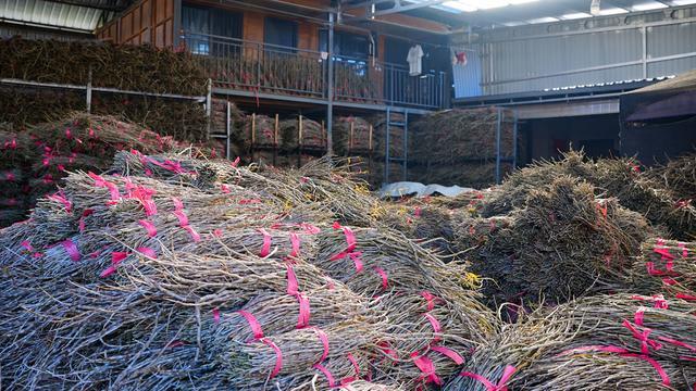 乐鱼体育：日均销售1000余单龙陵农家小院电商直播催生庭院经济发展