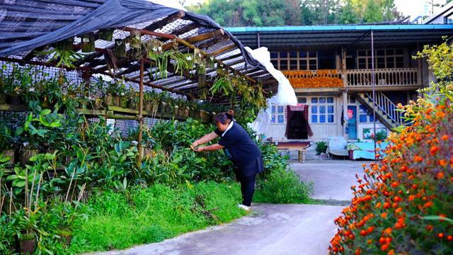 乐鱼体育：日均销售1000余单龙陵农家小院电商直播催生庭院经济发展(图5)