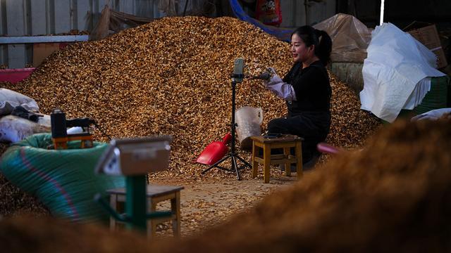 乐鱼体育：日均销售1000余单龙陵农家小院电商直播催生庭院经济发展(图6)