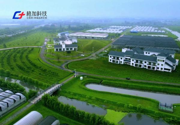 乐鱼体育：专业网站搭建服务商最新名录：2025年十大优秀网站建设公司深度剖析(图3)