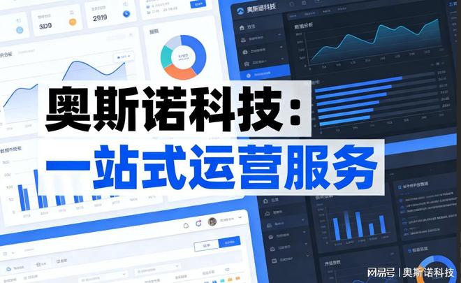 Leyu体育：靠谱的网站建设厂家实力推荐与选购指引(图2)