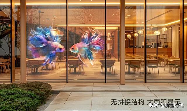 乐鱼体育：定义空间的光显魔法师洲明全息显示开辟崭新沉浸式视觉时代(图3)