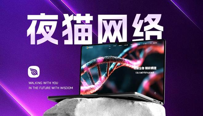 乐鱼体育：网站建设哪家公司好？2026专业测评榜单：口碑网站设计制作公司严选清单(图2)