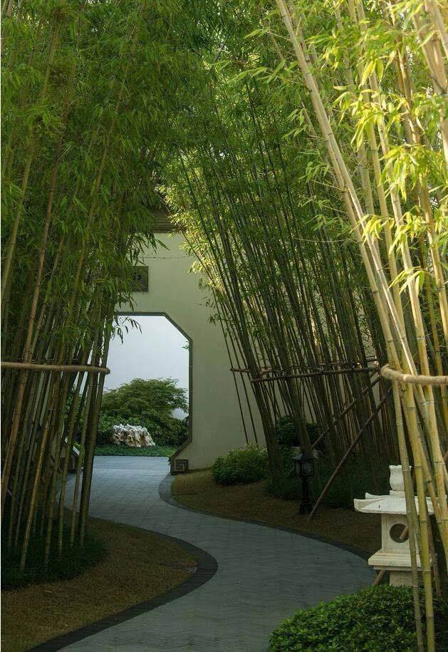 Leyu体育：上海闵行上海桃花源售楼处电话桃花源四期售楼地址-2026(房价+户型图)-网站-楼盘详情-配套-电话(图9)