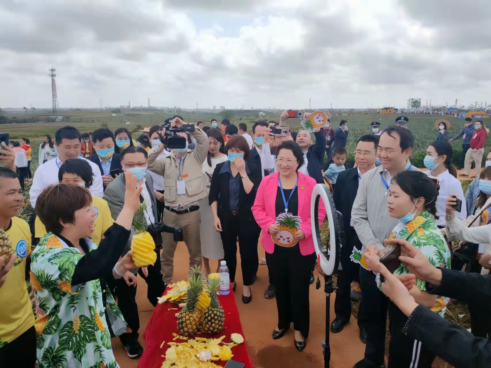 Leyu体育：从一颗菠萝的“逆袭”看中国农业市场化的“晋级”(图2)
