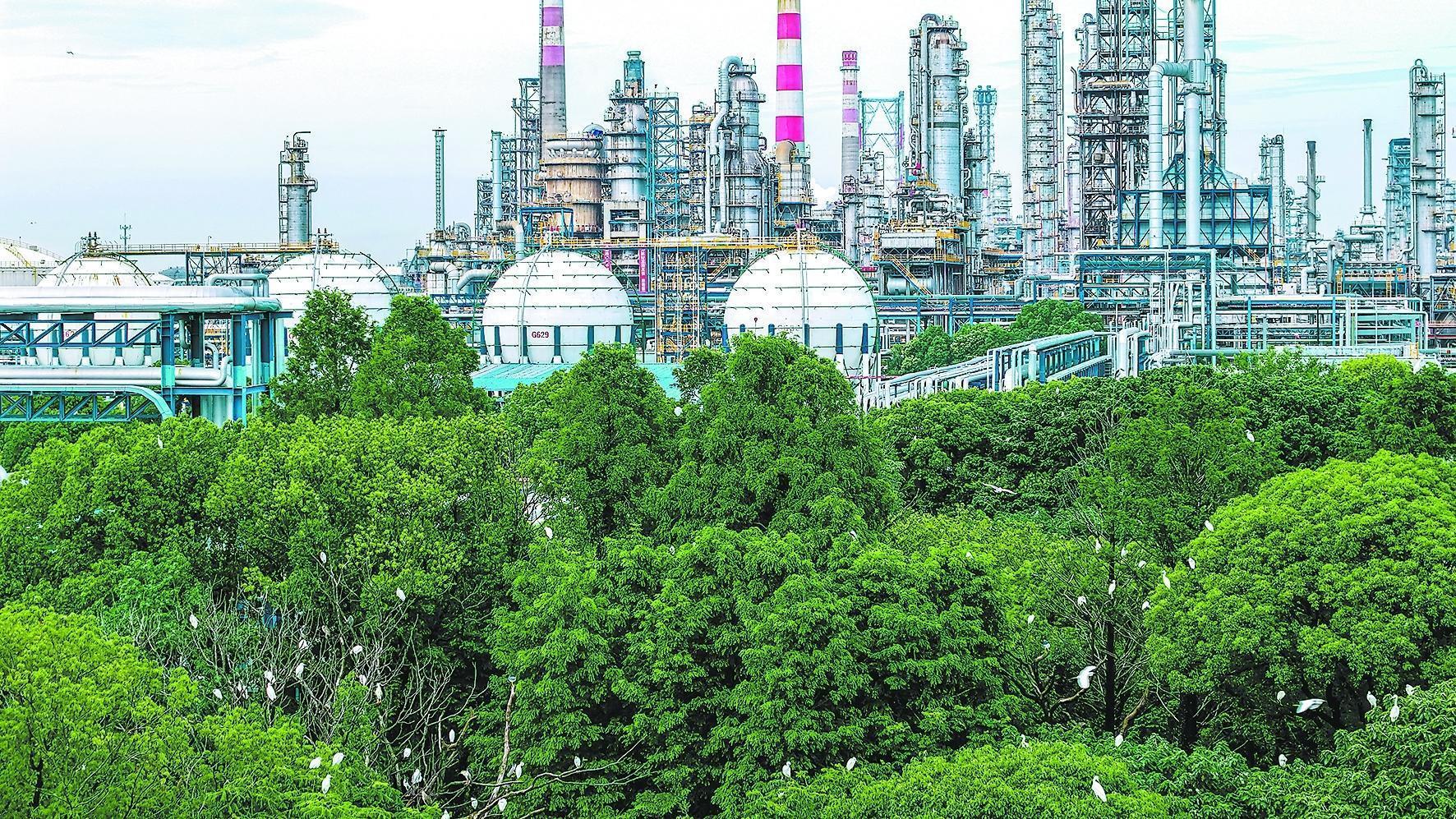 Leyu体育：守护锦绣河山坚定逐绿前行(图2)